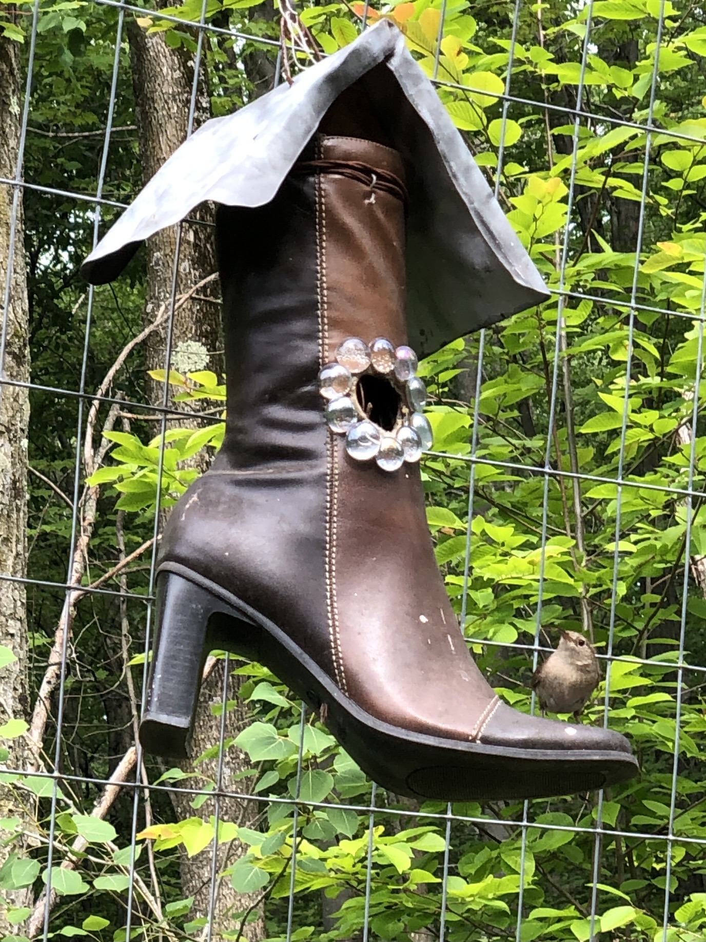 Image shows steps in turning fresh vegetables into canned spices.